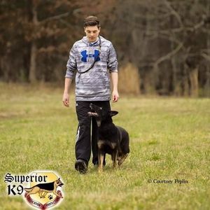 Meet your Posher, Alec